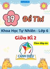 Tổng hợp 19 Đề thi KHTN 6 giữa Kì 2 Cánh Diều (Kèm đáp án)